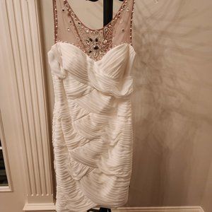 Gorgeous Adrianna Pappell Dress